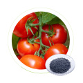 DR AID NPK 25-4-24 Vendre à chaud Vendre des légumes et des fruits engrais Soufre Agriculturelle Engrais biologique